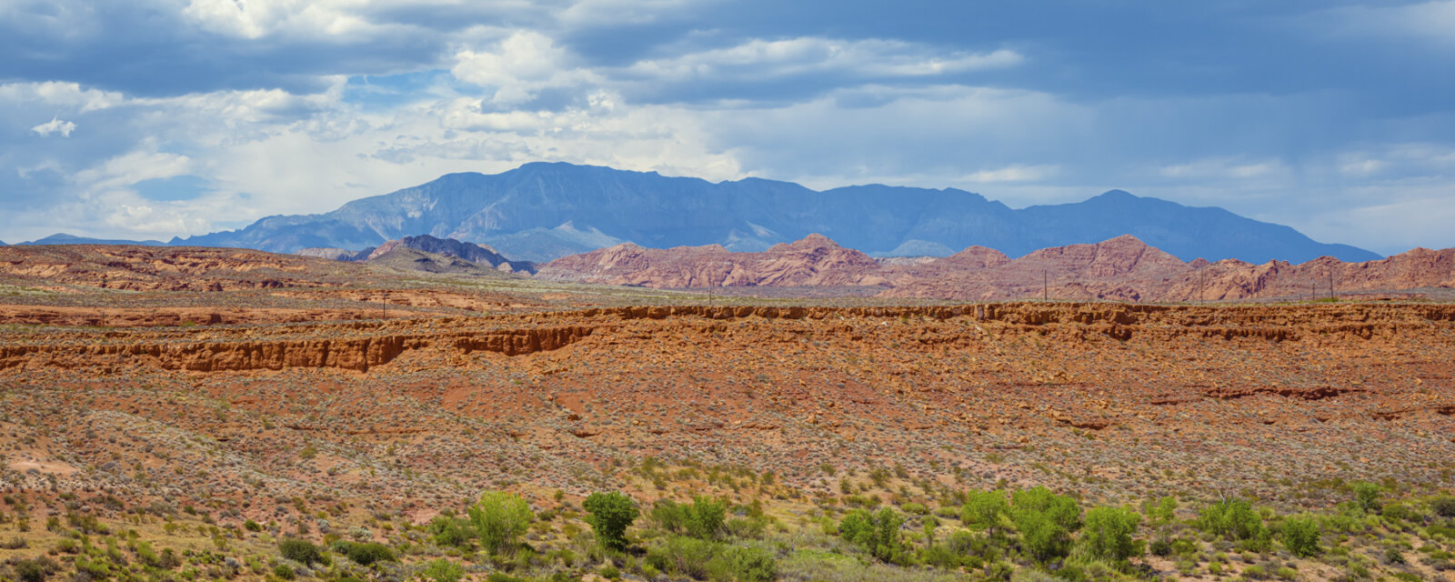 Expansive desert landscape featuring layered red rock formations in the middle distance with blue mountains on the horizon under a partly cloudy sky and green desert vegetation in the foreground.