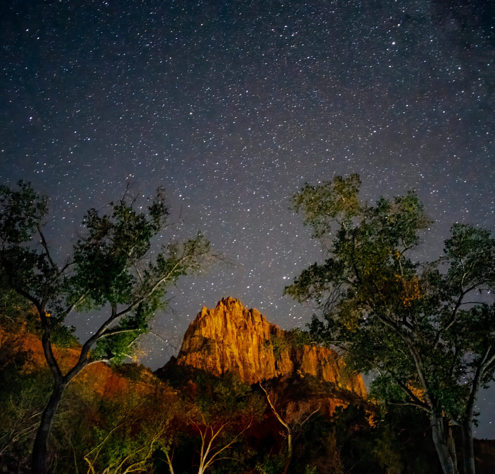A brilliant starry night sky stretches above a dramatic red rock cliff formation illuminated in warm golden light, with dark silhouetted trees framing the scene.