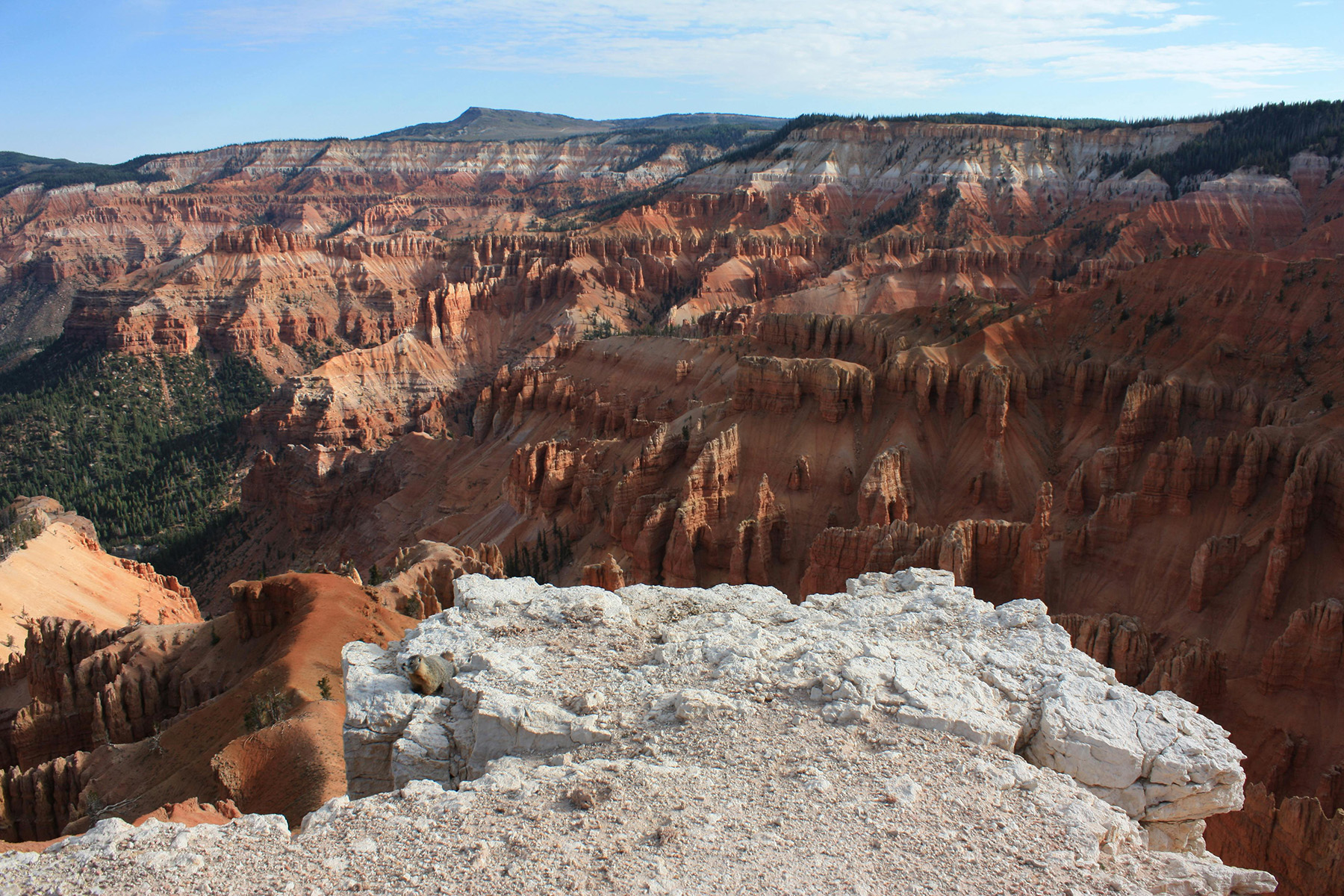 View of Cedar Breaks National Monument in Southern Utah captured by Tom Fournier (https://www.pexels.com/@tom-fournier-208942721), showcasing vivid red cliffs and stunning scenery near St. George Utah