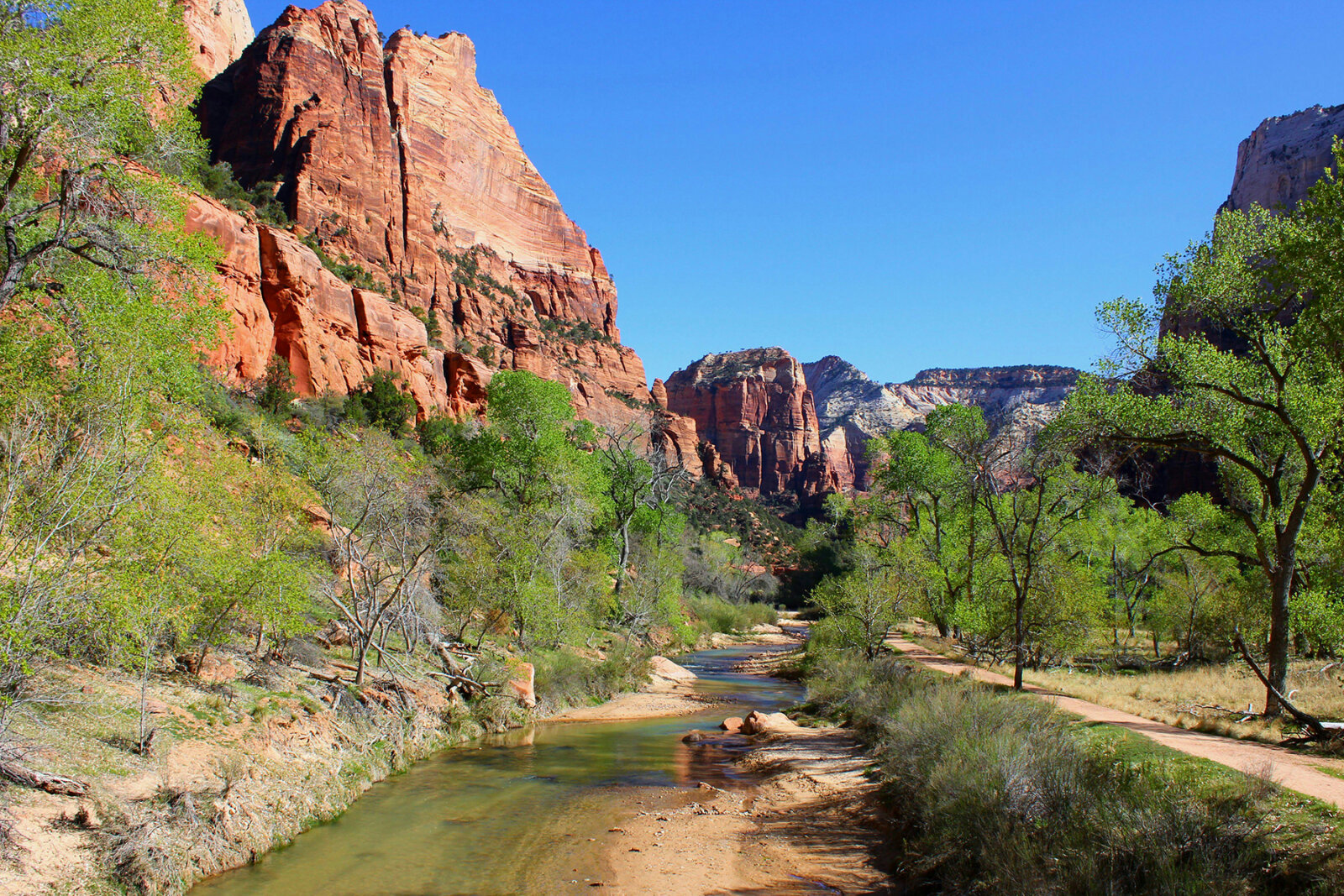 A shallow stream winds through green trees beneath towering red rock formations under a clear blue sky.
