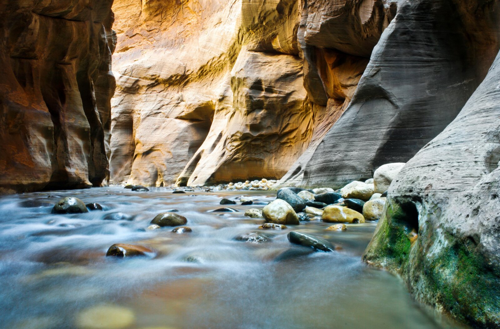 A picturesque scene of a flowing stream winding through towering sandstone cliffs with lush vegetation and moss-covered rocks.