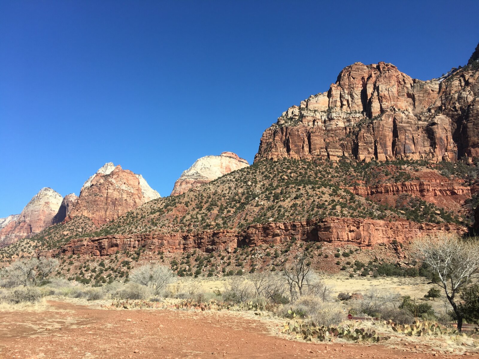Towering red sandstone cliffs with layered rock formations rise above sparse shrubland under a deep blue sky.