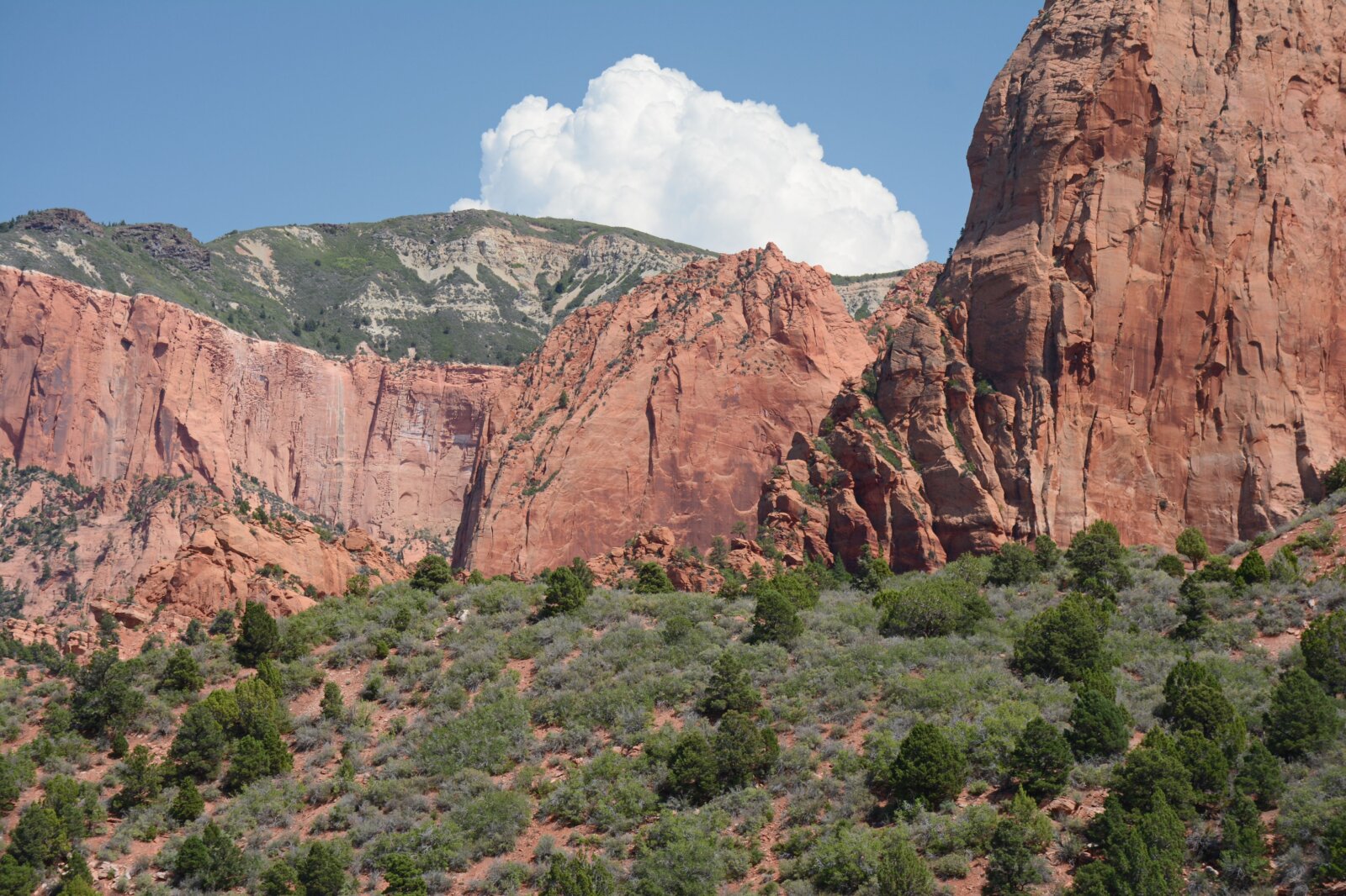 Red sandstone cliffs rise above green shrubland in Kolob Canyons, the northwest corner of Zion National Park.