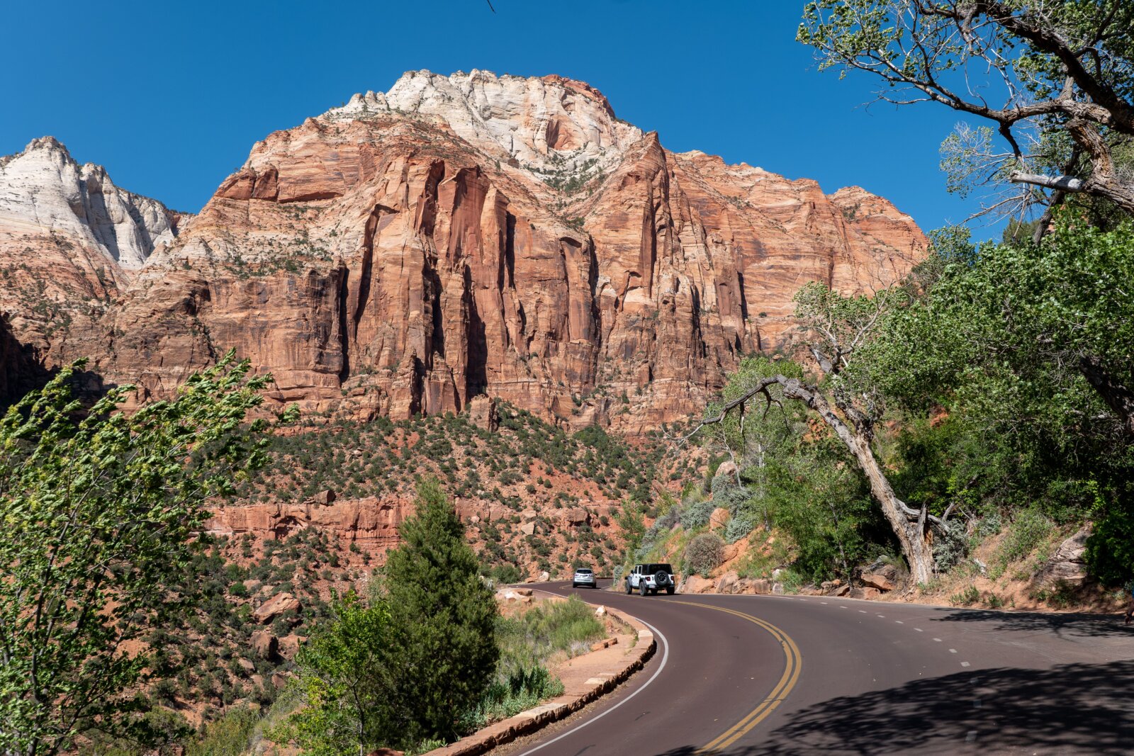 A paved two-lane road curving between towering red sandstone cliffs and desert brush under a clear blue sky