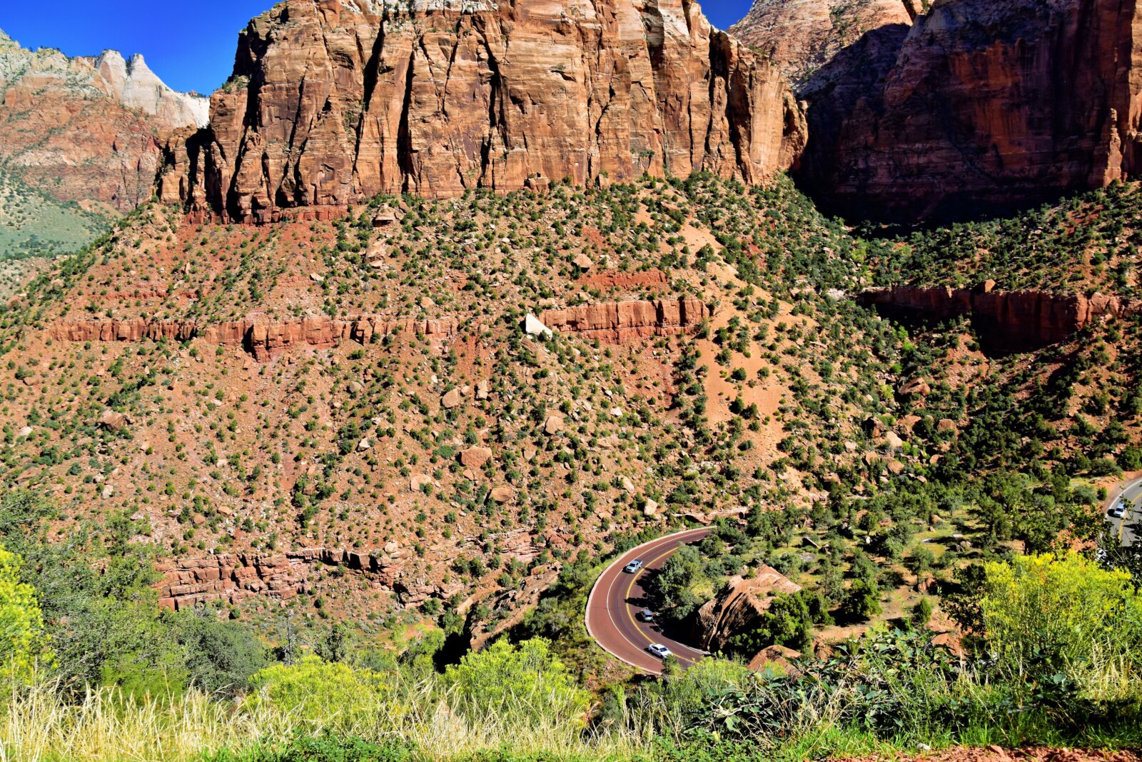 Winding two-lane road curving through red rock canyon walls in Zion National Park